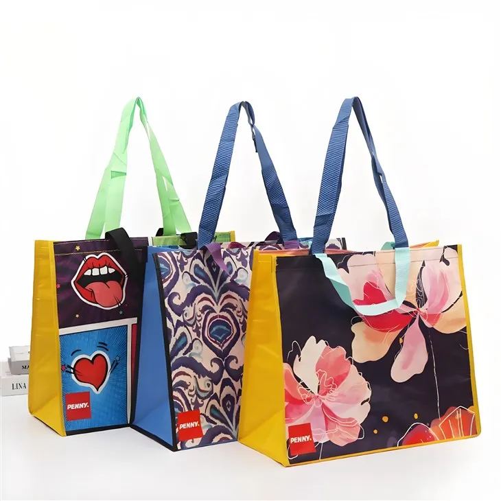 Värikäs painettu laminoitu kantokassi kuitukangaskassi